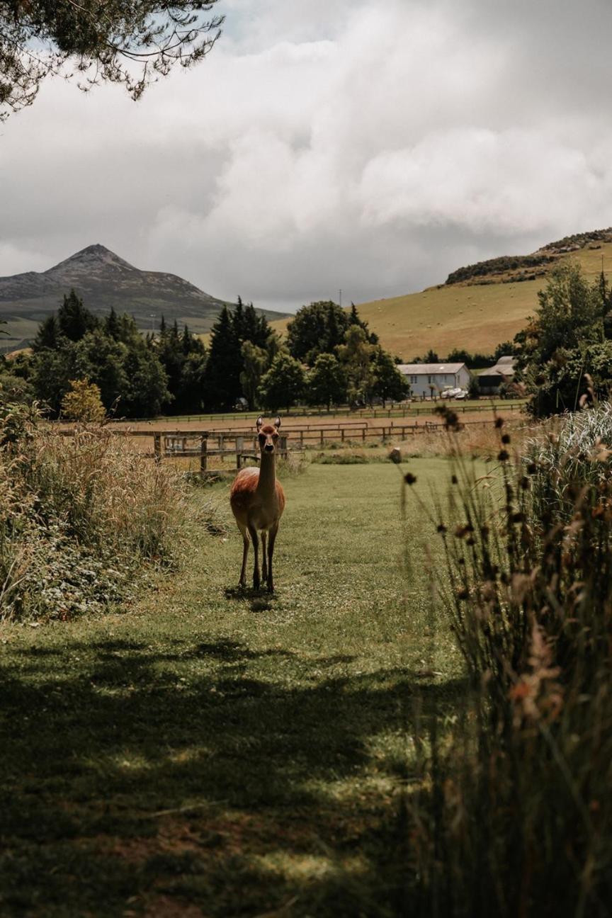 Powerscourt Springs Health Farm